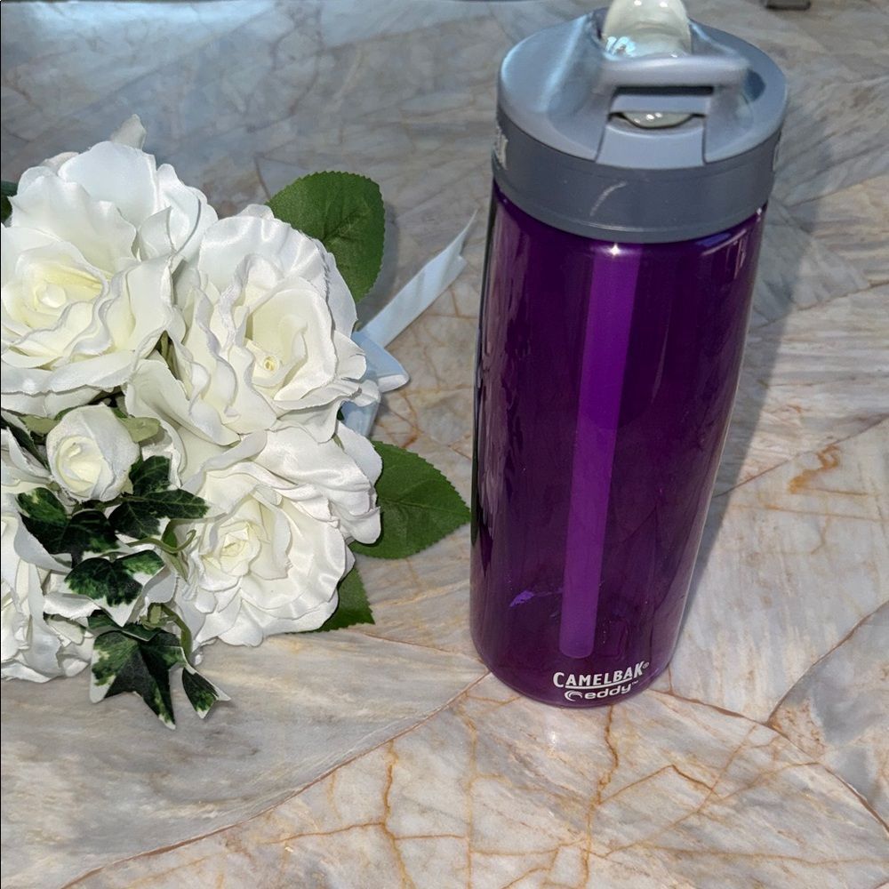 CamelBak Eddy‎ Deep Purple Bottle